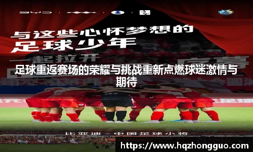 333体育专属指南