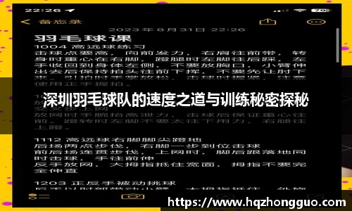 深圳羽毛球队的速度之道与训练秘密探秘